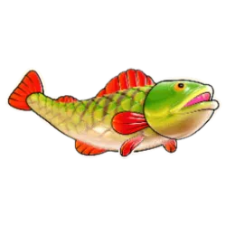 BigBassSplash-symbol Fish